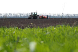  © Фото Виталия Тимкива, Юга.ру