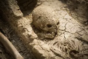 Раскопки в Фанагории &copy;&nbsp;Фото Елены Синеок, Юга.ру