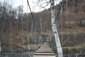 Мосты в Кавказском заповеднике © Фото пресс-службы Кавказского заповедника
