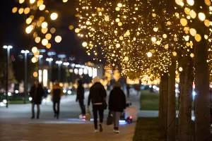 Парк «Краснодар»  с новогодней подсветкой &copy;&nbsp;Фото Елены Синеок, Юга.ру