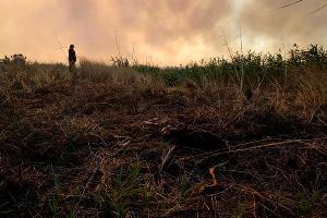 Пятые сутки пожара в Могукоровке © Фото Каси Кульковой, группа «Добровольные пожарные Кубани»