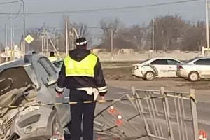  &copy;&nbsp;Фото Галины Волосник для Юга.ру