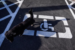 Парковка для малобильных граждан © Фото Елены Синеок, Юга.ру
