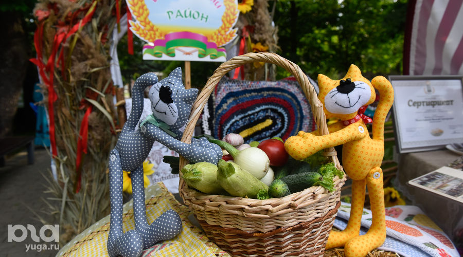  © Фото Елены Синеок, Юга.ру