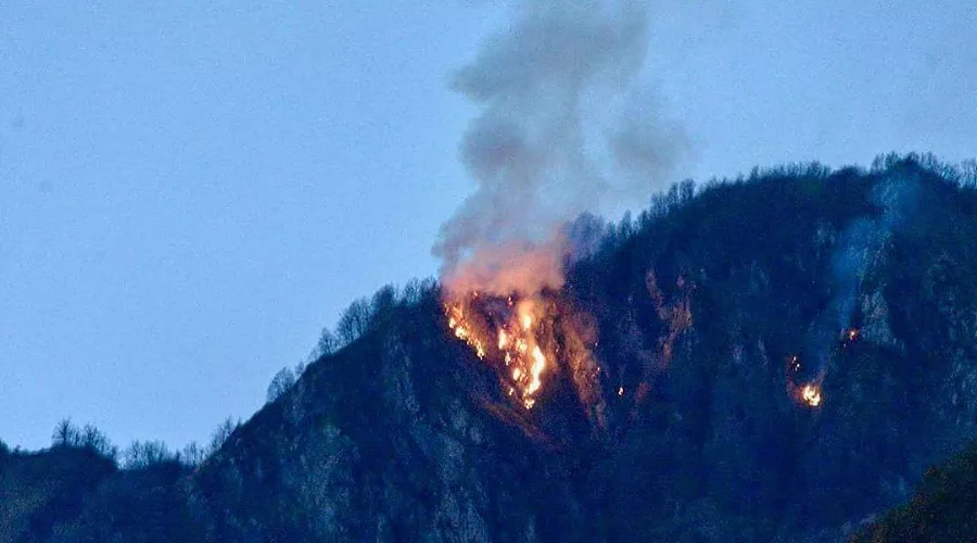  &copy;&nbsp;Фото пресс-службы Кавказского заповедника в инстаграме, instagram.com/kavkazski_zapovednik/