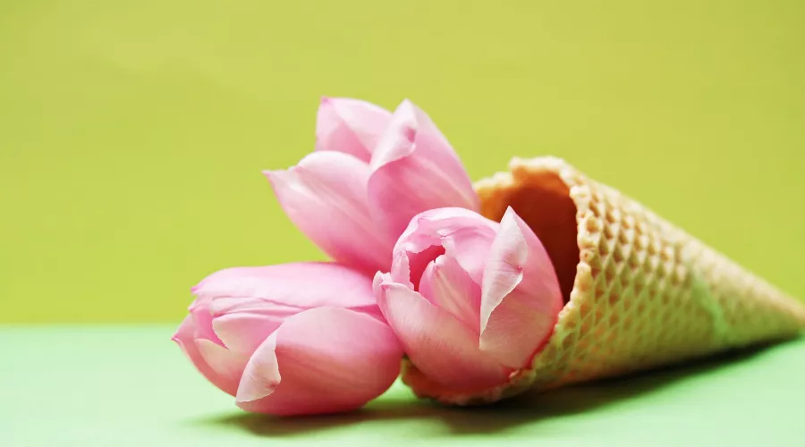  &copy;&nbsp;Изображение пользователя S. Hermann & F. Richter с сайта Pixabay.com