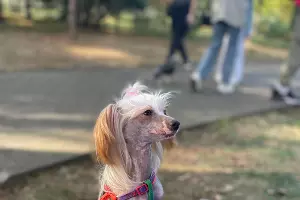  &copy;&nbsp;Фото предоставила Виктория — хозяйка Аси