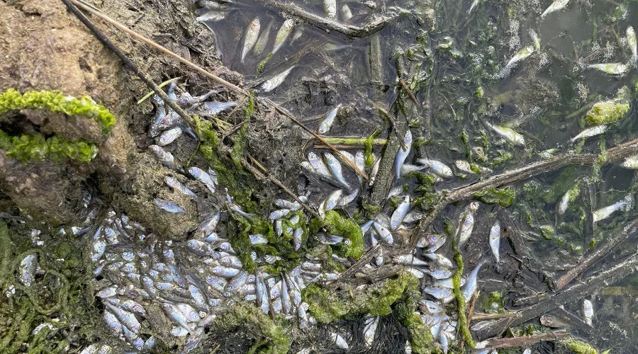  &copy;&nbsp;Фото предоставлено Иваном Любивым