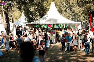  &copy;&nbsp;Фото предоставлено организаторами