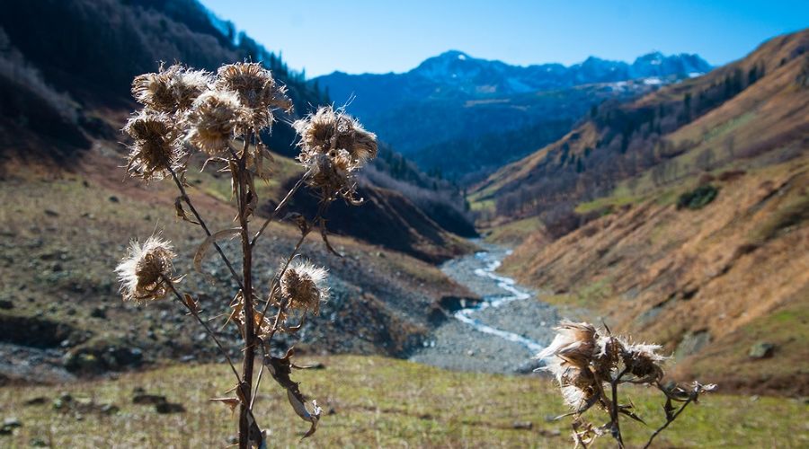 Горная Абхазия &copy;&nbsp;Фото Юга.ру