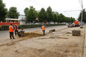  © Фото пресс-службы администрации Краснодара