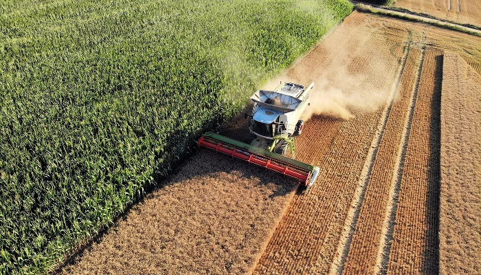  &copy;&nbsp;Фото Christian Bueltemann, pixabay.com