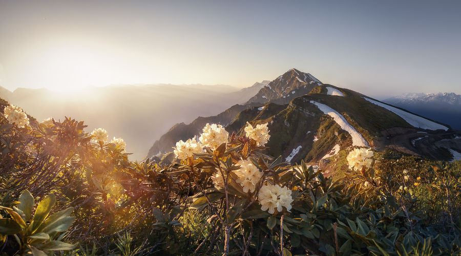  © Фото пресс-службы «Роза Хутор»