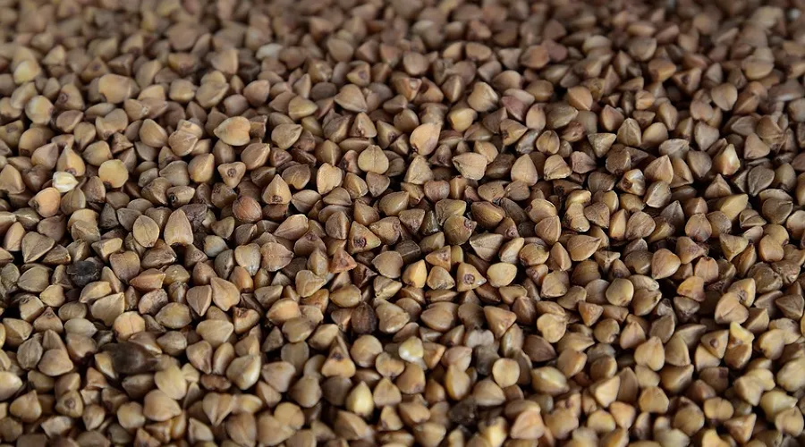  &copy;&nbsp;Фото FreePhotosART, pixabay.com