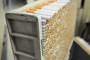  &copy;&nbsp;Фото Елены Синеок, Юга.ру