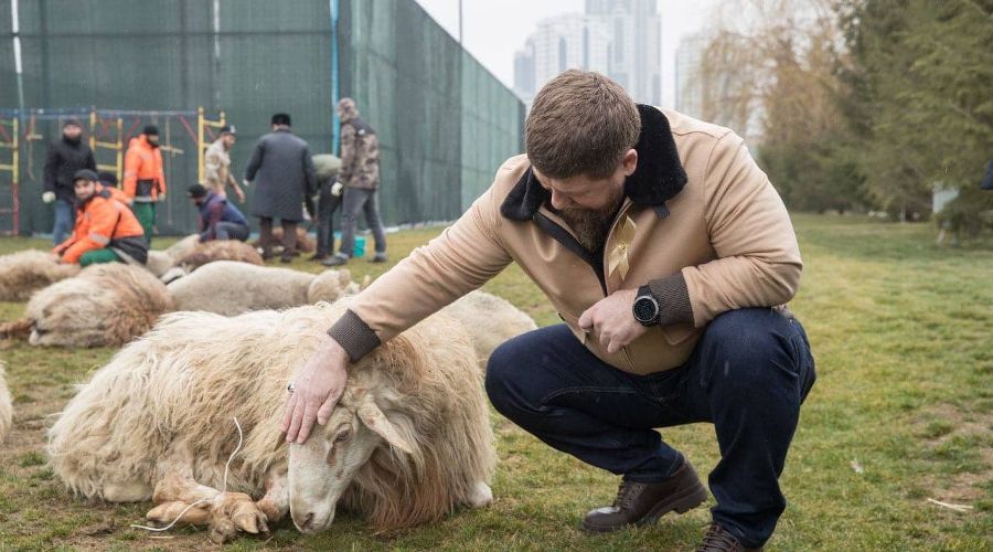  © Фото с личной страницы Рамзана Кадырова ВКонтакте, vk.com/ramzan