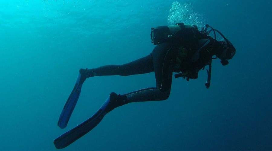  © Фото с сайта pixabay.com