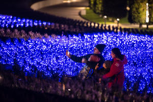 Парк «Краснодар»  с новогодней подсветкой &copy;&nbsp;Фото Елены Синеок, Юга.ру