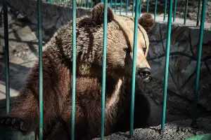  &copy;&nbsp;Елена Синеок, ЮГА.ру