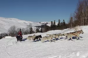  &copy;&nbsp;Фото пресс-службы Кавказского заповедника