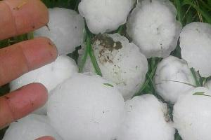  &copy;&nbsp;Фото Кристины Белой