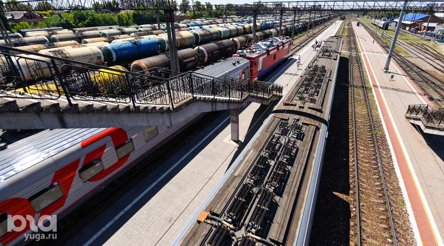  &copy;&nbsp;Фото Елены Синеок, Юга.ру