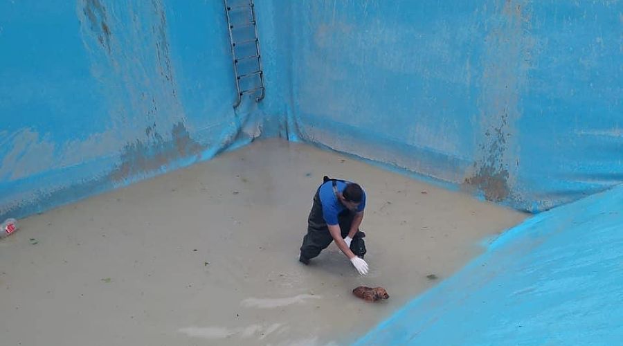  © Фото из инстаграма начальника МБУ ПАСС «Служба спасения» Новороссийска Алексея Одерова, instagram.com/alekseioderov