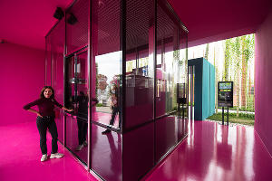 Спортивное пространство в парке «Краснодар»  © Фото Елены Синеок, Юга.ру