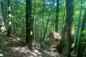  &copy;&nbsp;Фото пресс-службы курорта &laquo;Роза Хутор&raquo;