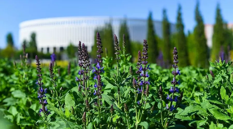  &copy;&nbsp;Фото пресс-службы парка &laquo;Краснодар&raquo;