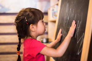 Алиса © Фото Елены Синеок, Юга.ру