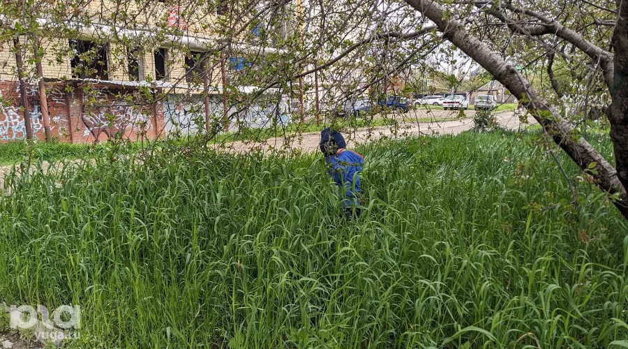  &copy;&nbsp;Фото Александры Прохоренковой-Аксеновой, Юга.ру