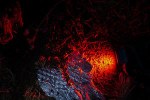 Выставка Вани Венмера Process © Фотография предоставлена кураторской группой Plague