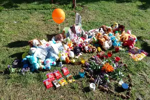  &copy;&nbsp;Фото активистки Яны Антоновой, предоставлено Юга.ру