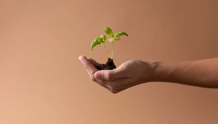  &copy;&nbsp;Фото freepik, freepik.com