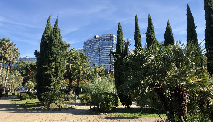 Депутат Госдумы просит сделать Сочи федеральной территорией для решения проблем курорта