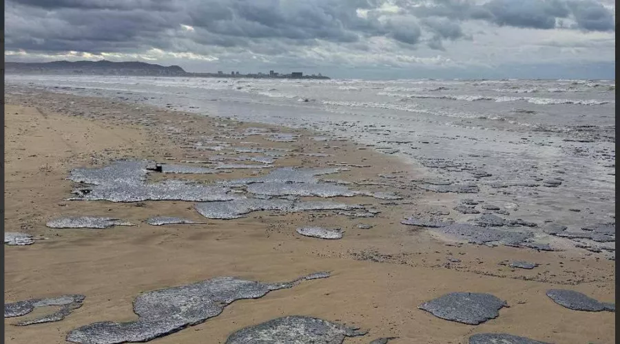  &copy;&nbsp;Скриншот из телеграм-канала &laquo;С.О.В.А &raquo; https://t.me/sova_anapa/532