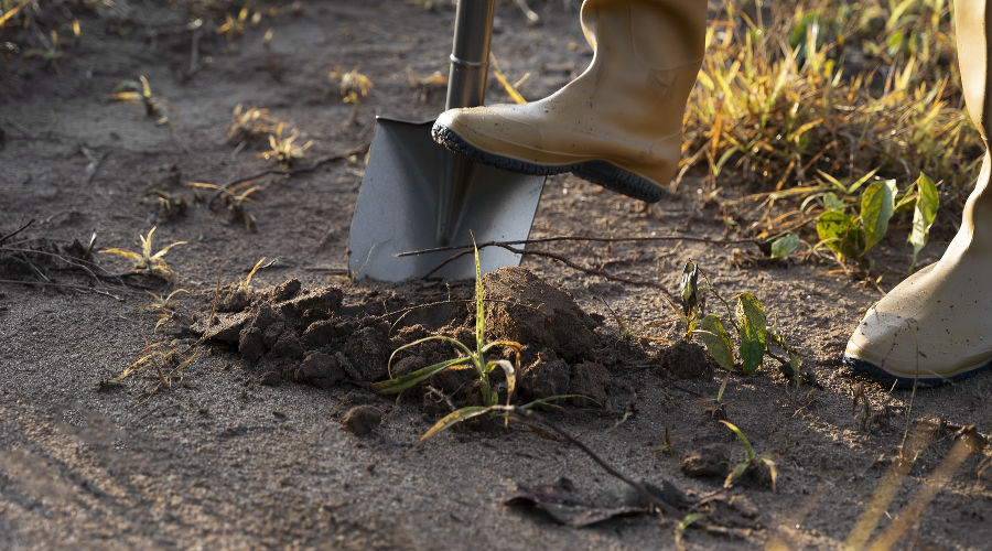  © Фото пользователя freepik с сайта freepik.com