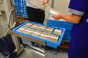 Работники кассового подразделения проверяют целостность упаковки и укладывают банкноты в кассеты © Фото Елены Синеок, Юга.ру