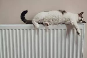  &copy;&nbsp;Фото he gong, unsplash.com