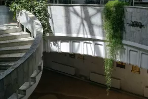 Винтовая лестница в сочинском музее Дерева Дружбы &copy;&nbsp;Фото Юли Шафаростовой, Юга.ру