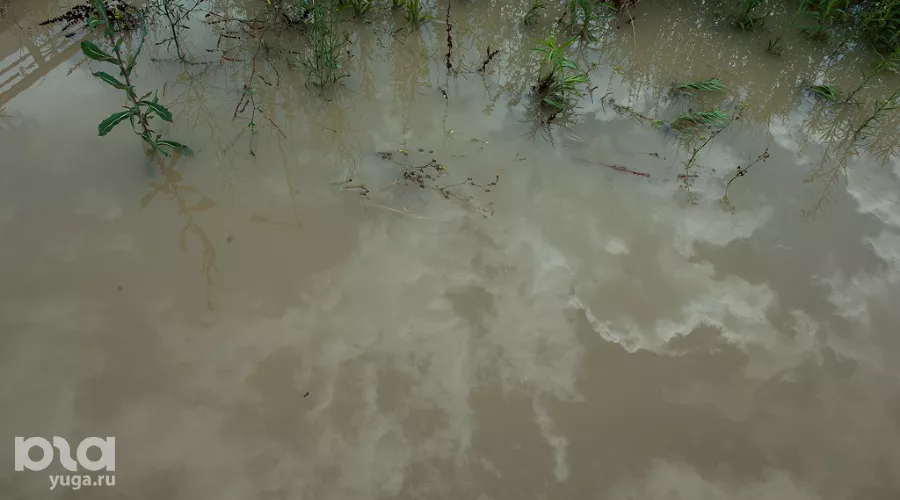  &copy;&nbsp;Нина Зотина, ЮГА.ру