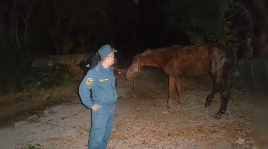  &copy;&nbsp;Фото пресс-службы ГУ МЧС РФ по Республике Крым