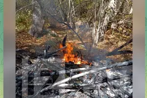 Мотодельтаплан упал и сгорел &copy;&nbsp;Скриншот телеграм-канала &laquo;Из.ру&raquo;, T.me/izvestia