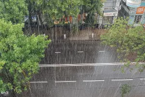  &copy;&nbsp;Фото Михаила Ступина, Юга.ру