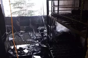  &copy;&nbsp;Фото из группы &laquo;ЧП Сочи&raquo;, vk.com/chpsochi