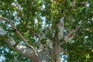  &copy;&nbsp;Фото Дмитрия Пославского, Юга.ру