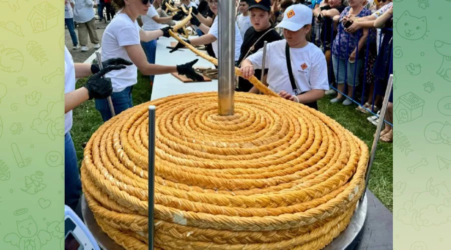 Сыр «косичка» длиной 189 метров незадолго до съедения гостями XIII Фестиваля адыгейского сыра  &copy;&nbsp;Скриншот публикации в телеграм-канале Мурата Кумпилова, t.me/muratkumpilov