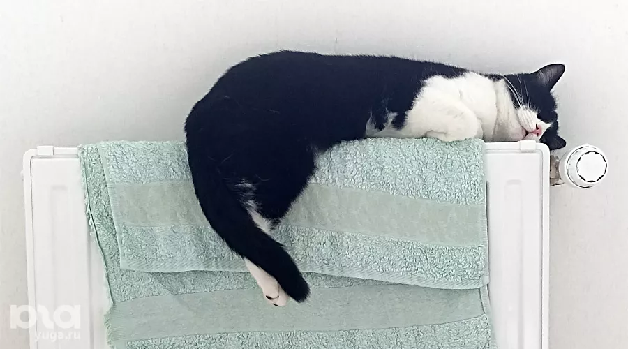  &copy;&nbsp;Фото Тины Бойцовой, Юга.ру