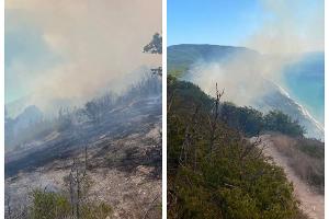  © Скриншот из телеграм-канала МЧС Краснодарского края https://t.me/mchs_kuban/12087